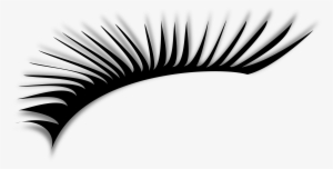 Eye Lashes Png - Eye Lashes Clip Art Png