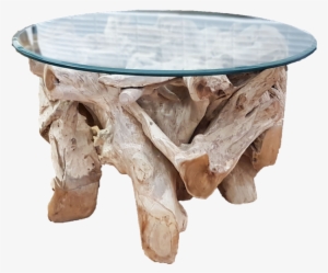 Tree Root Coffee Table A With Serious Roots Inside - Furniture