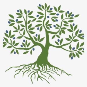 Olive Tree Initiative