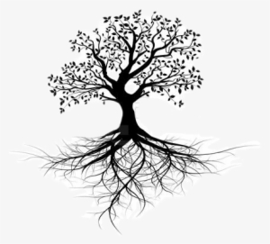 Tree Treeroots Treeoflife Freetoedit - Tree With Roots Outline