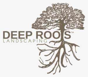 Logo Color Finalweb - Tree