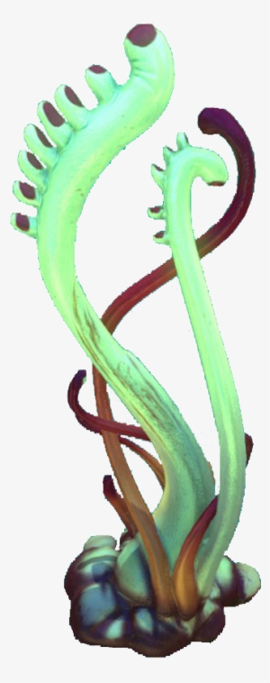 Red Green Tentacle Flora - Algae