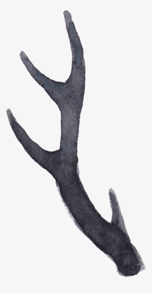 Transparent For The Water Color Of The Elk's Tentacle - Deer