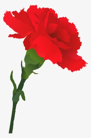 Red Carnation - Red Carnation Clip Art