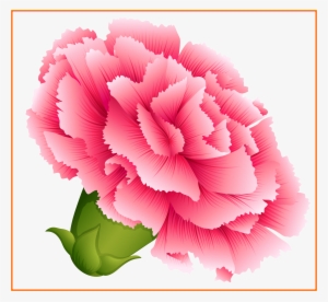 Shocking Best Carnation For Flower Clipart Inspiration - Carnation Clipart