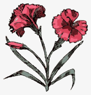 How To Set Use Carnation Illustration With Color Svg