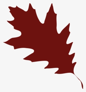 Orange Fall Leaves Clip Art Clipart Free Download - Red Oak Leaf Vector