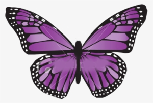 1- Para Empezar Necesitamos Alas De Mariposas Y Una - Thyroid Cancer Survivor Butterfly