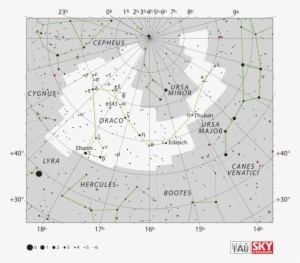 Draco The Dragon - Draco Constellation Star Map