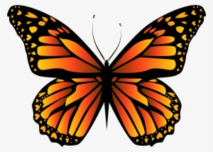 Orange Butterfly Png Clipar Image - Monarch Butterfly
