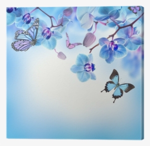 Cuadro En Lienzo Fondo Floral De Orquídeas Tropicales - Blue Flowers And Butterflies