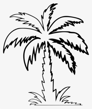 Clipart - Palm Tree Clipart Outline