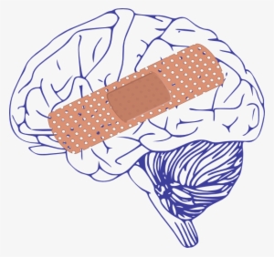 Brain Big Bandaid Clip Art - Brain Clip Art
