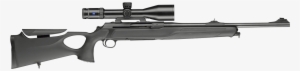 Power In Perfection - Sauer 303 Xt Synchro