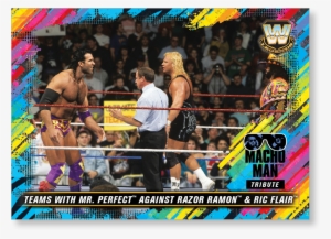 2018 Topps Wwe Heritage Teams With Mr - Boxing