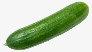 Free Png Cucumbers Png Images Transparent - Cucumber Png