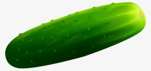 Cucumber Clipart - Pickled Cucumber