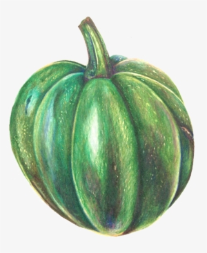 Gemsquash - Pumpkin