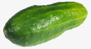 Large Green Cucumber - Bitter Gourd Clipart Png