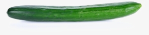 Single Cucumber Png Image With Transparent Background - Cucumber Single