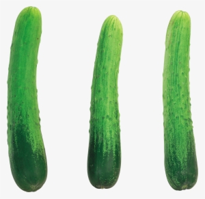 cucumbers on a transparent background