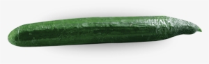 Single Cucumber Png Image - Cucumber