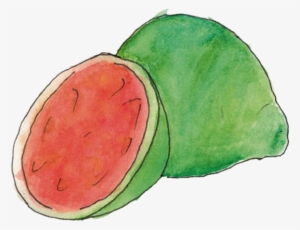Guave - Avocado