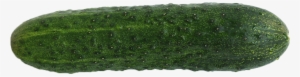 Single Cucumber Transparent Background Png - Cucumber