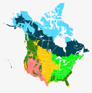 Us And Canada Map Template Boreal Forest Of Canada - Do Caribou Live In Canada
