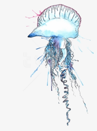 Free Png Download Blue Bottle Jellyfish Png Images - Portuguese Man Of War Clipart