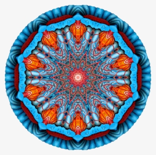 Computer Icons Jellyfish Symmetry Discomedusae Drawing