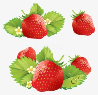 Free Png Download Strawberry Clipart Png Photo Png - Strawberries Png