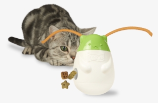 Sandy Robins Online - Cat Treat Toy