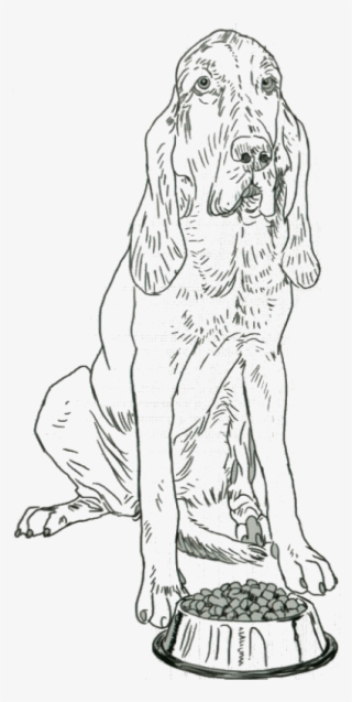 Line Art