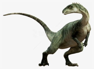 Free Png Download Dinosaur Standing Png Images Background - Dinosaur Png