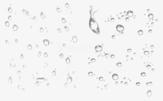 Free Png Water Png Images Transparent - Png Format Water Drop Png Hd