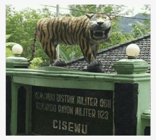roar no more - tiger memes
