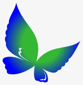 Butterfly Png