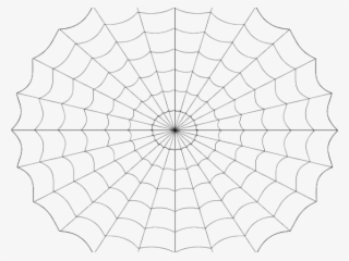 Drawn Spider Web Vector - Fibonacci Sequence Tiling Design
