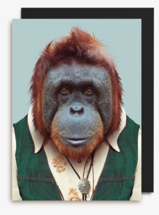 Bornean Orangutan Greeting Card - Iphone Wallpaper Orangutan