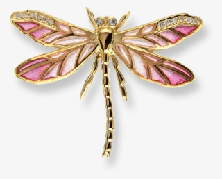 Stock - Dragonfly