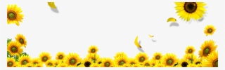 Common Download Transprent - Sunflower Landscape Png