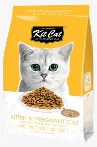 Best Online Pet Store Singapore - Kit Cat Dry Food
