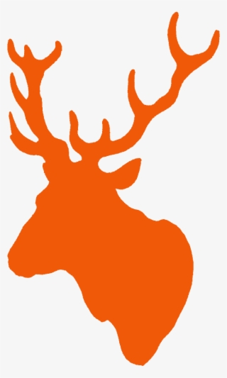 Orange Stag - Reindeer