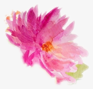 #watercolor #watercolours #flowers - Chinese Peony