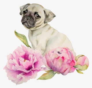 Click And Drag To Re-position The Image, If Desired - Happy Birthday Dog And Flower