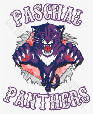 Fort Worth T Shirts Page Paschal Panthers - Vintage Nhl Crewneck Sweaters