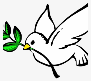 Peace Dove Clipart Vigil - Transparent Background Dove Clipart