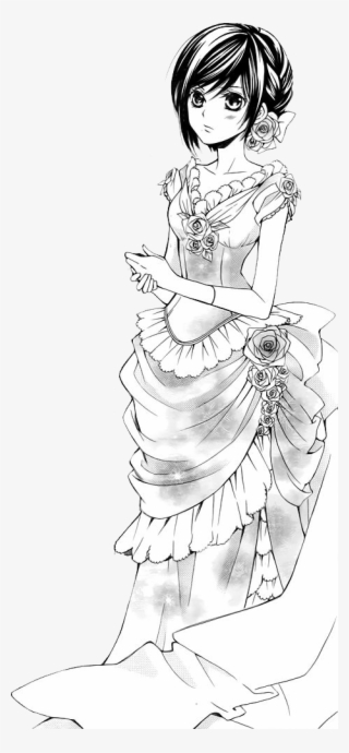 Maria Rose - Illustration