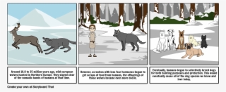 Wolves To Dogs - Cartoon